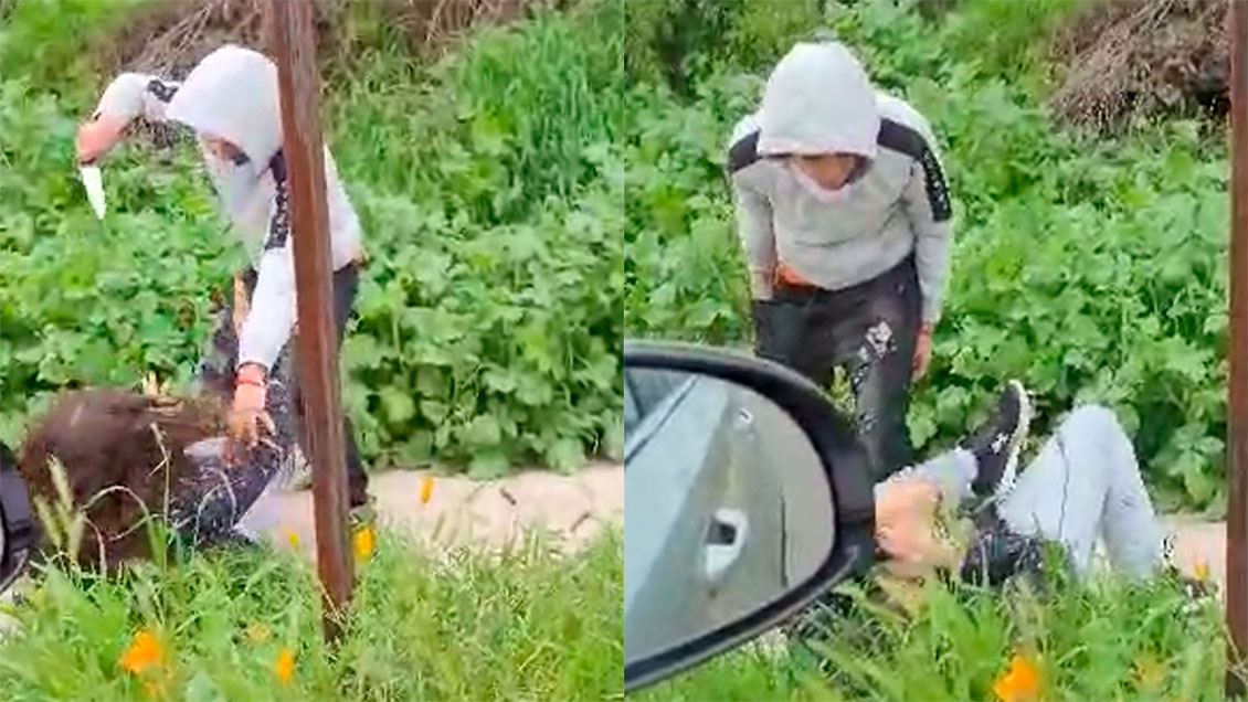 Conductora grabó todo: Estudiante sufrió violento asalto en Quilpué