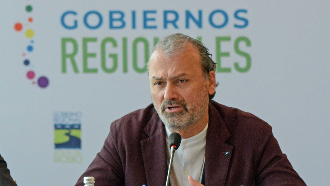 GORE Los Lagos detectó 