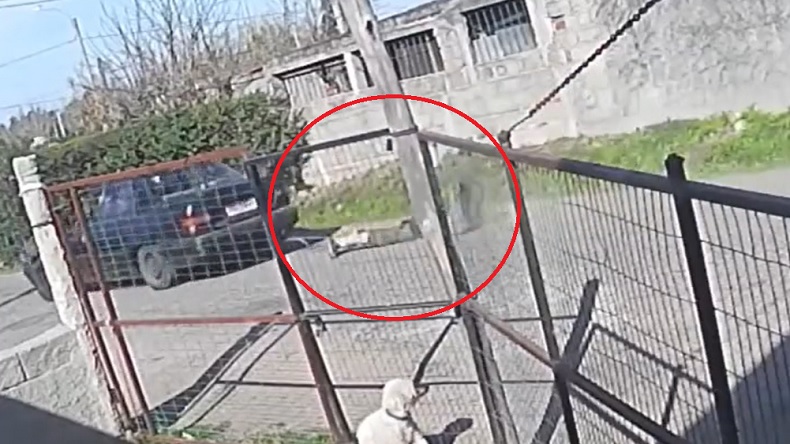 Hombre atrapó a un presunto ladrón, lo amarró a su auto y lo arrastró por ocho cuadras