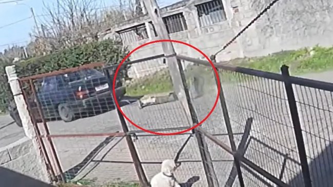 Hombre atrapó a un presunto ladrón, lo amarró a su auto y lo arrastró por ocho cuadras