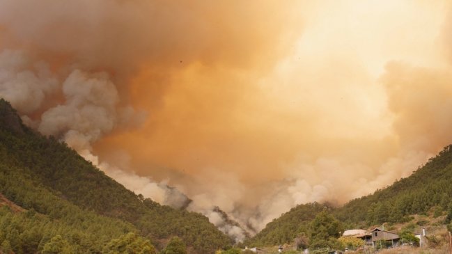 Un virulento incendio en la isla canaria de Tenerife consume 2.600 hectáreas