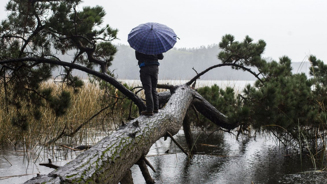 ¿Dónde se registraron las lluvias más abundantes del fin de semana?