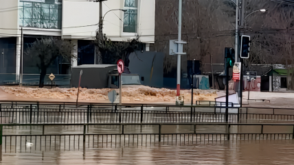   Talca: Camión provoca especie de 