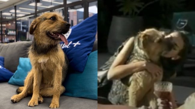 ¿Se lo lleva Coni? Producción de Gran Hermano tomó decisión sobre el futuro de Bigote