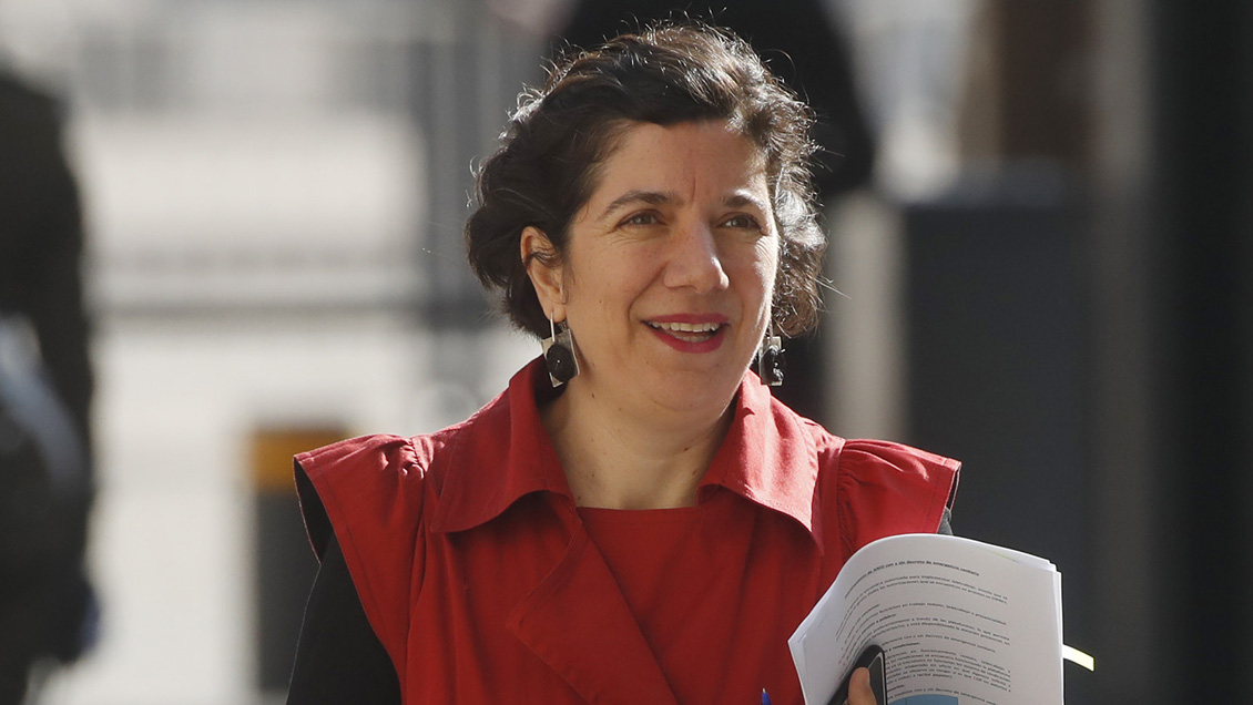 Ministra Aisén Etcheverry fichó en Revolución Democrática