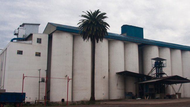 Trabajador de 76 años murió en un silo de productora de harina  