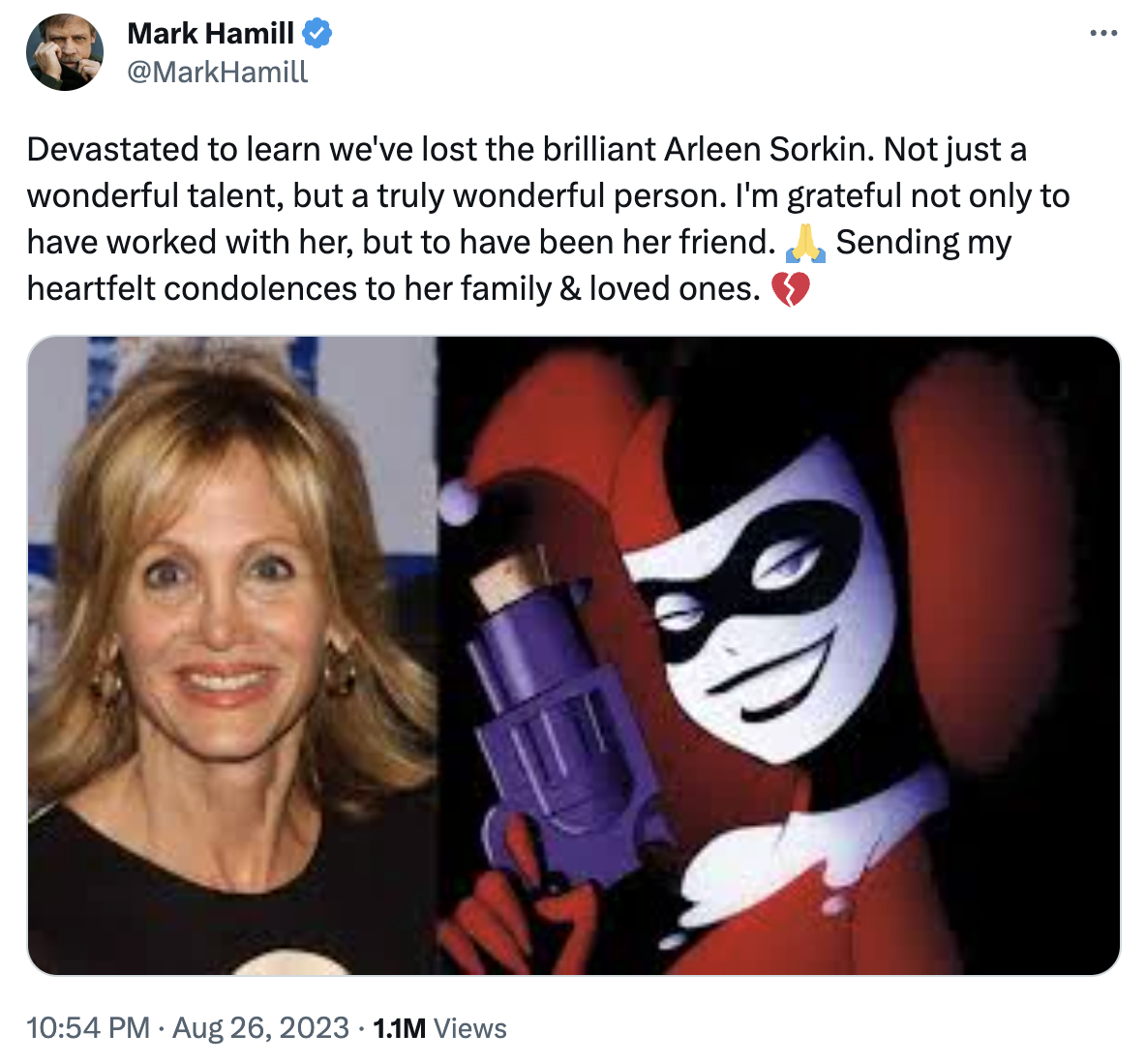 Mark Hamill agradeció trabajar con Arleen Sorkin Mark Hamill agradeció trabajar con Arleen Sorkin