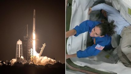   Luego de 30 horas de viaje, tripulantes de la misión Crew-7 llegaron hasta la EEI 