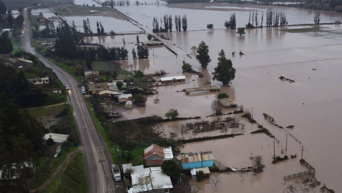 Gobierno evalúa un Fogape especial para la agricultura: Hay 274 mil hectáreas afectadas