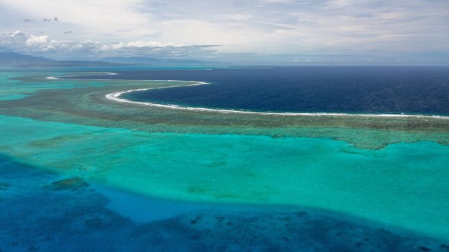  Calentamiento del mar pondrá en jaque la supervivencia de manglares y arrecifes de coral  