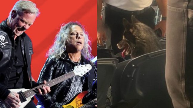 Perrito que escapó de su casa fue encontrado disfrutando un show de Metallica
