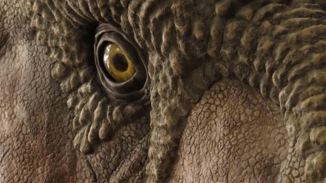 Dinosaurios dejaron un legado compartido entre la Patagonia y Australia  