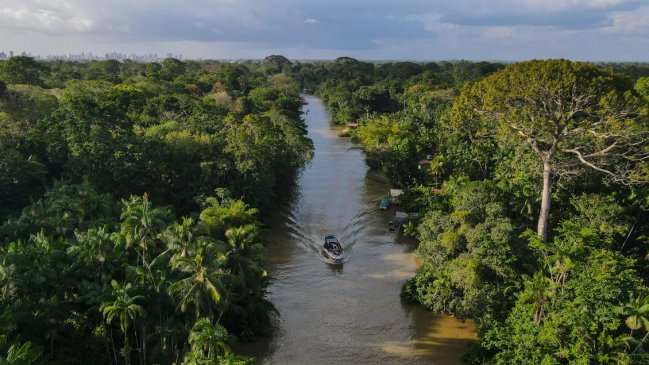 Deforestación en la Amazonía brasileña alcanzó su menor cifra desde 2018