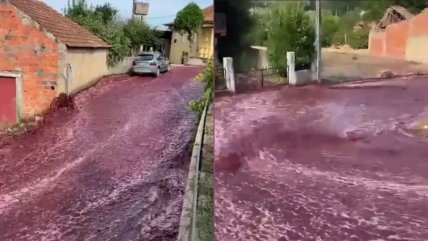  Río de vino tinto invadió las calles de Portugal  