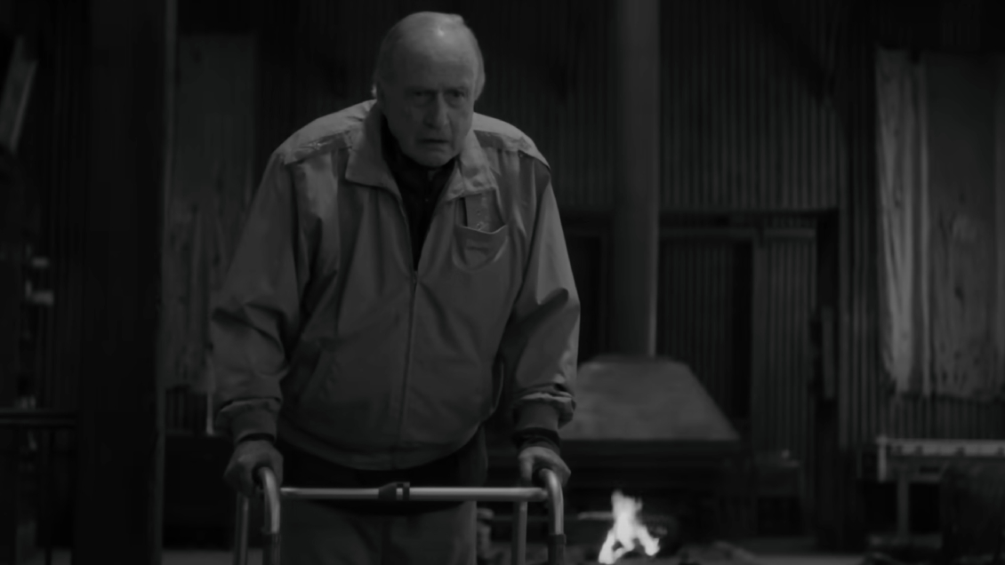 Jaime Vadell El Conde