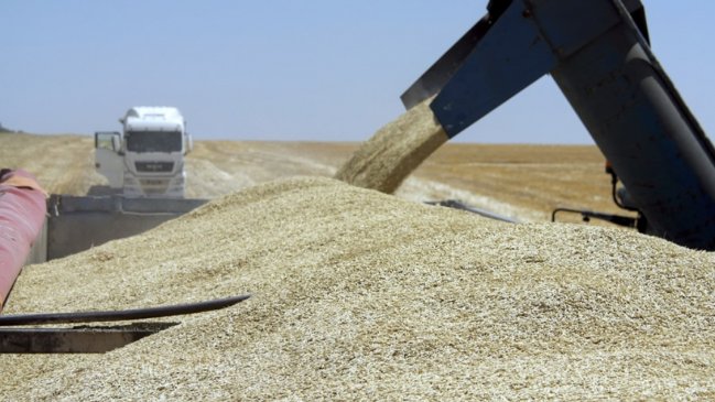  Rusia impulsa exportaciones de grano a América Latina  