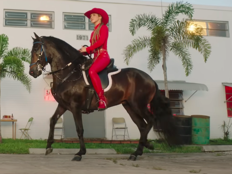 Imagen foto_00000011