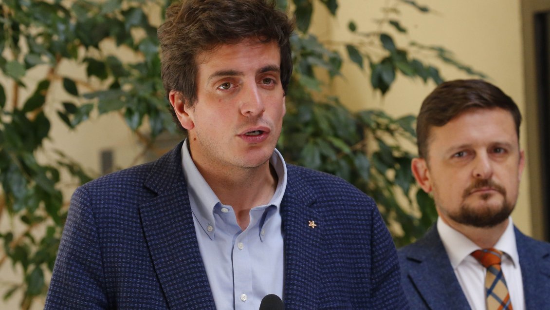 Schalper y proceso constitucional: 