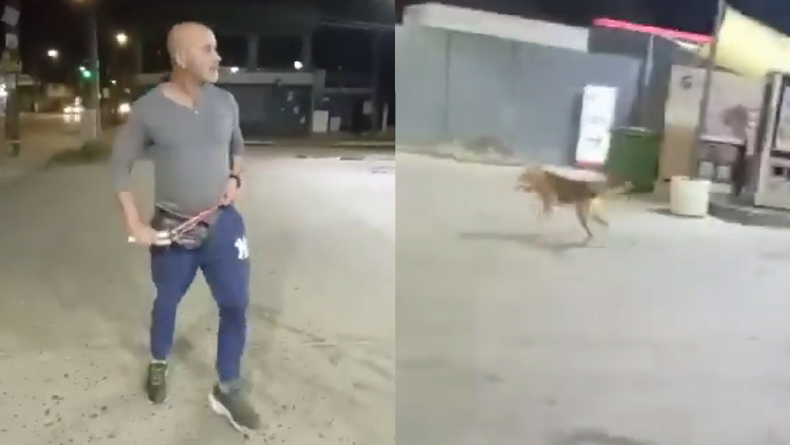 Fiscalía inició investigación contra agresor de perro en Villa Alemana