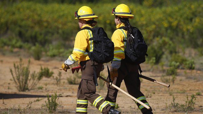   Gobierno aumenta en 47% presupuesto para combate de incendios forestales 