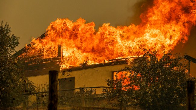  Víctimas de incendios del Biobío preparan acciones judiciales contra eléctricas  