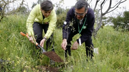  Gobierno conmemoró el Día del Donante plantando árboles en Cerro Blanco  