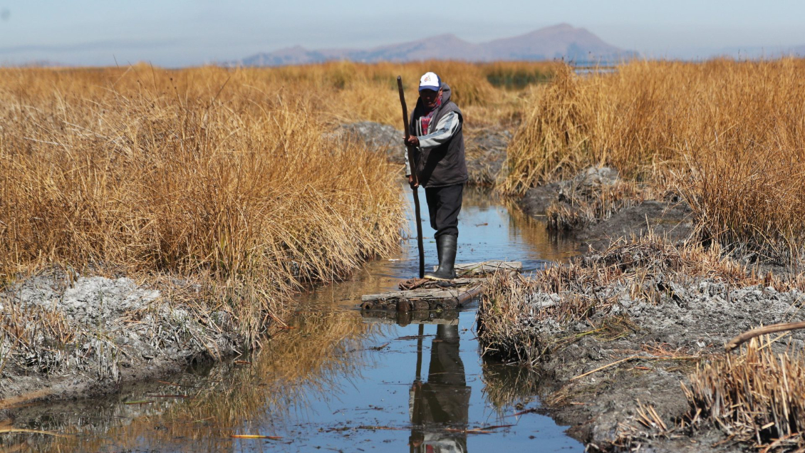 Nivel del lago Titicaca marcó su mínimo histórico