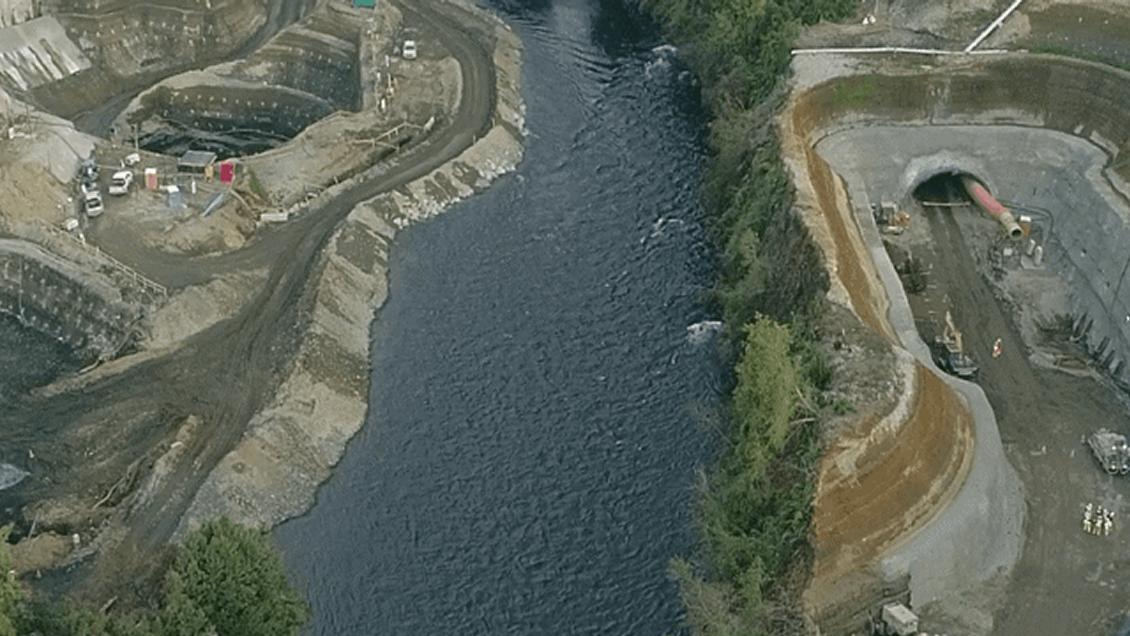 SEA confirmó renuncia de empresa noruega a proyecto hidroeléctrico Osorno