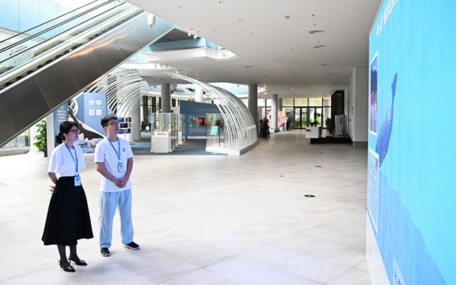 Imagen foto_00000013