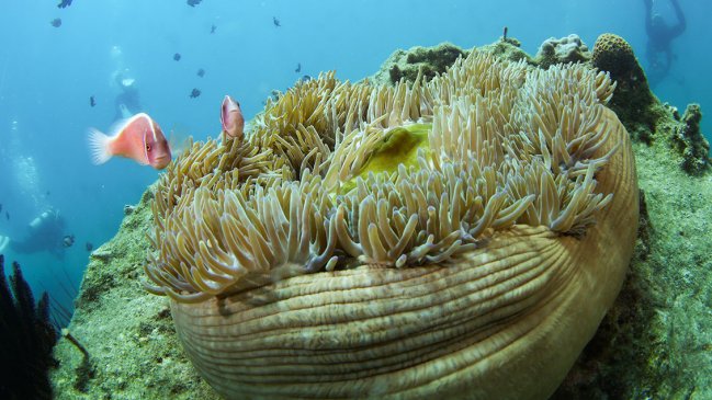 China y América Latina impulsan la tecnología de gemelos digitales en el fondo marino