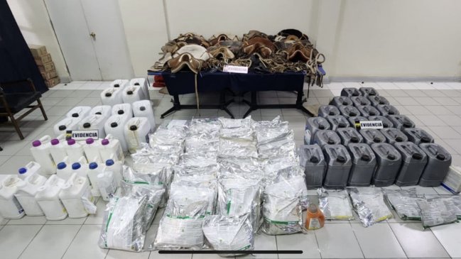 Monturas y aperos robados en Chimbarongo fueron recuperados en Talagante