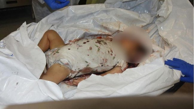 Israel reitera denuncias sobre bebés decapitados y calcinados por Hamás