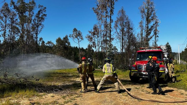 Bomberos de Valparaíso recibirán a instructores franceses previo a temporada de incendios