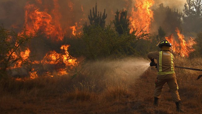 Los Lagos: Inician labores preventivas para la temporada de incendios forestales
