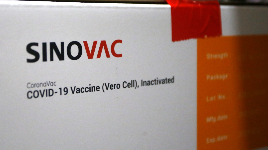 Exministro de Ciencia: Sinovac desistió debido a las condiciones ofrecidas por Chile