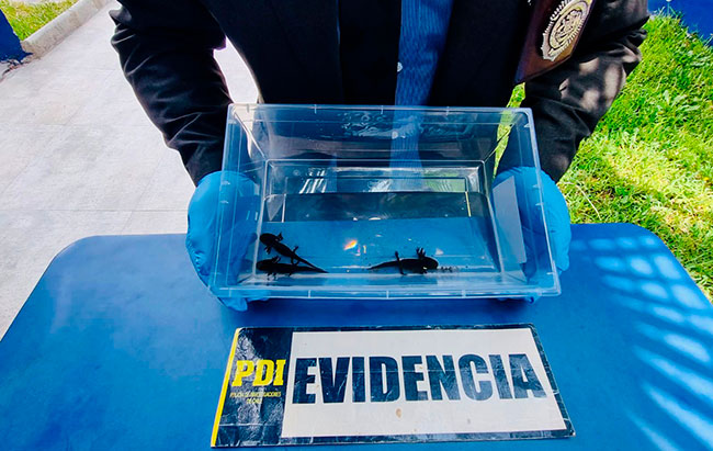 Imagen foto_00000023