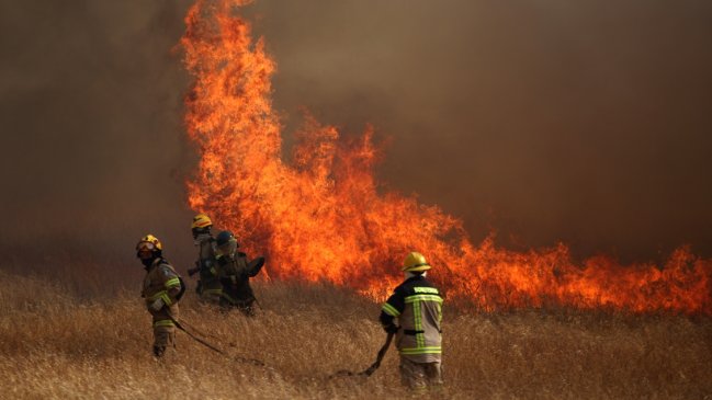  Controlado incendio forestal que había generado alerta roja en Rapa Nui  