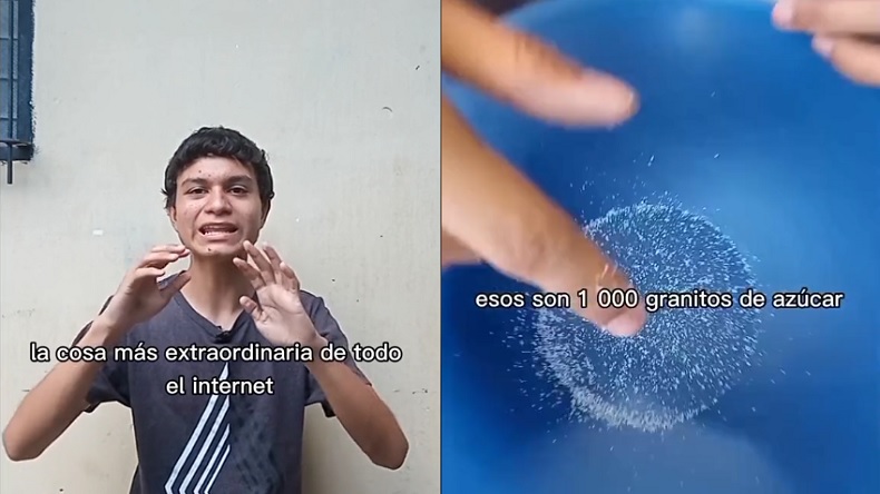 Contó cuántos granos vienen en un kilo de azúcar y causó furor en redes