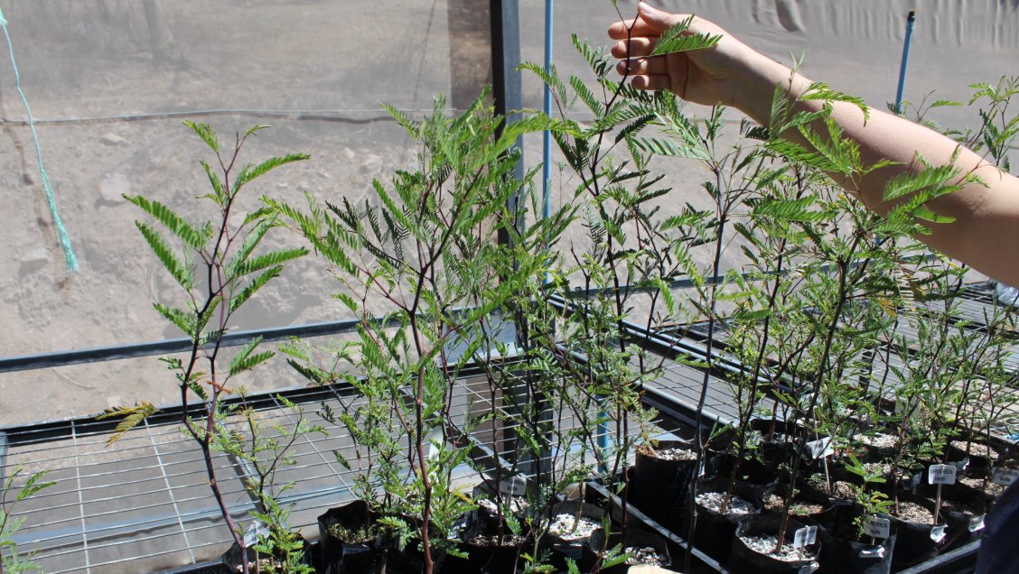 Vicuña contará con nuevo Centro de Estudios de la Biodiversidad