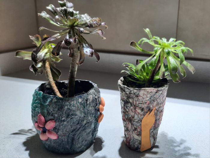 Imagen foto_00000001