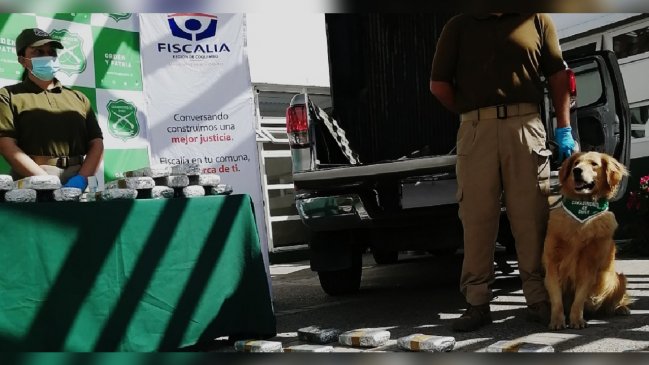  Pichidangui: Camioneta sospechosa portaba 70 kilos de pasta base  