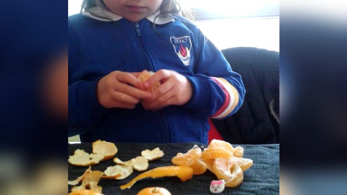 Justicia falló contra colegio por tardía reacción ante caso prolongado de bullying