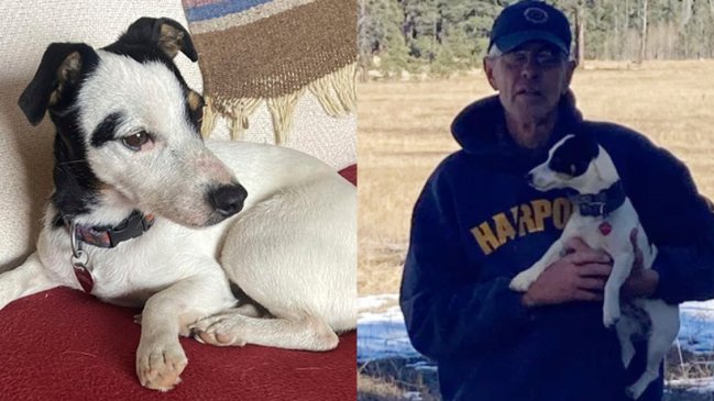 No lo abandonó: Perrita sobrevivió dos meses en la montaña cuidando el cadáver de su dueño