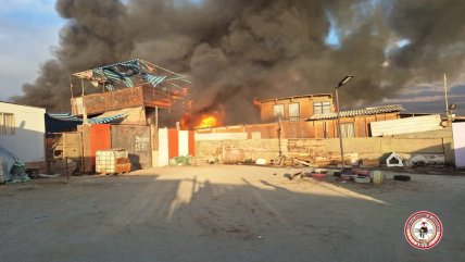  Incendio destruyó tres casas y dos cabañas en balneario de Antofagasta  