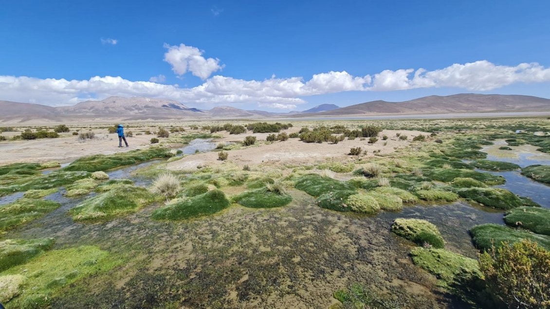 Minera deberá invertir 18 millones de dólares para compensar daño a un acuífero