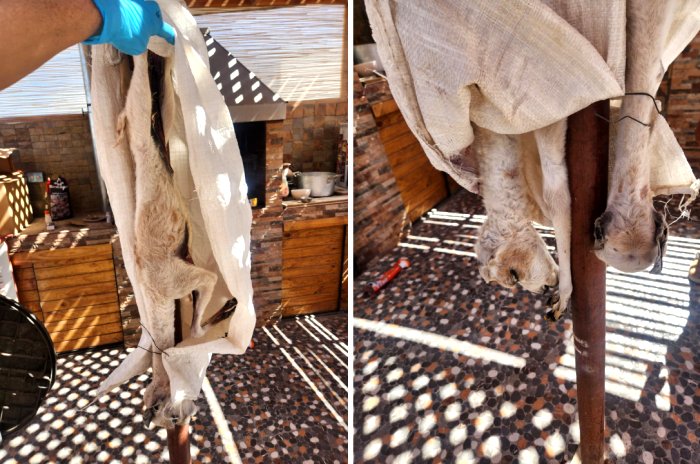 Imagen foto_00000011