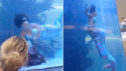   Sirena se quitó el traje para evitar ahogarse en acuario de un mall 
