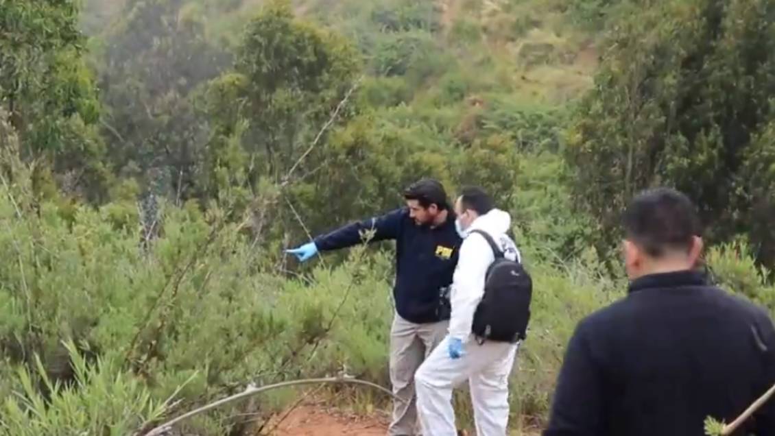 Hombre halló cráneo humano entre la maleza de un cerro de Valparaíso
