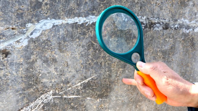 Descubren asentamientos humanos austronesios de hace 7.300 años en China