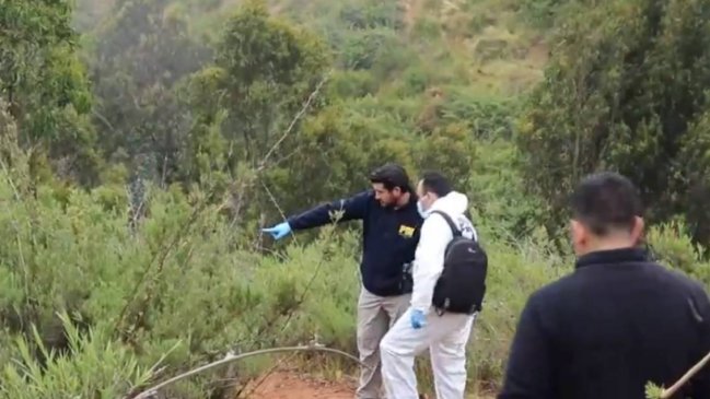  Hombre halló cráneo humano entre la maleza de un cerro de Valparaíso  